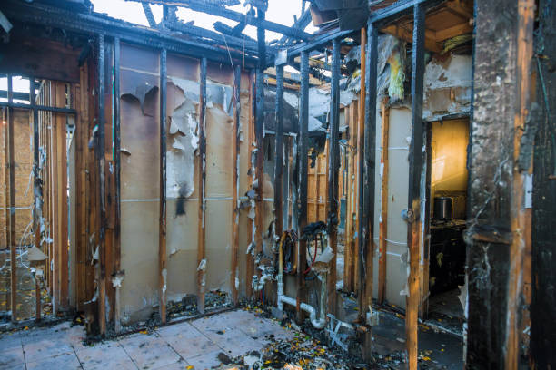 Professional Fire Damage Assessment technician working in Versailles, IN